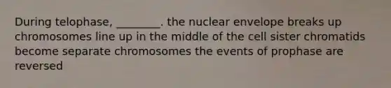 During telophase, ________. the nuclear envelope breaks up chromosomes line up in the middle of the cell sister chromatids become separate chromosomes the events of prophase are reversed