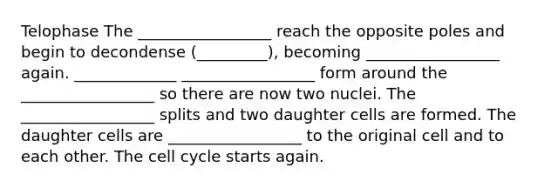 Telophase The _________________ reach the opposite poles and begin to decondense (_________), becoming _________________ again. _____________ _________________ form around the _________________ so there are now two nuclei. The _________________ splits and two daughter cells are formed. The daughter cells are _________________ to the original cell and to each other. The cell cycle starts again.