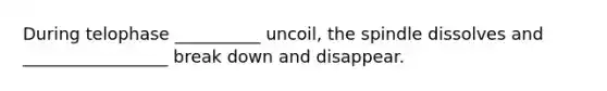 During telophase __________ uncoil, the spindle dissolves and _________________ break down and disappear.