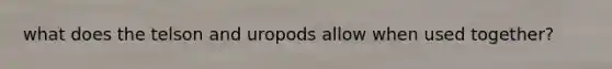 what does the telson and uropods allow when used together?