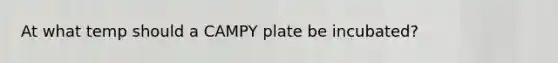 At what temp should a CAMPY plate be incubated?