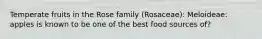 Temperate fruits in the Rose family (Rosaceae): Meloideae: apples is known to be one of the best food sources of?