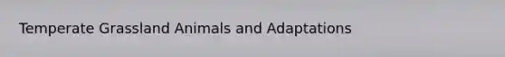 Temperate Grassland Animals and Adaptations