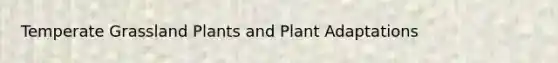 Temperate Grassland Plants and Plant Adaptations