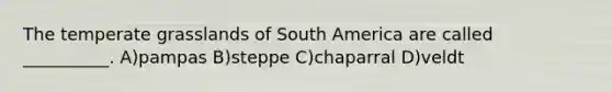 The temperate grasslands of South America are called __________. A)pampas B)steppe C)chaparral D)veldt