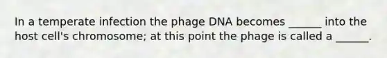 In a temperate infection the phage DNA becomes ______ into the host cell's chromosome; at this point the phage is called a ______.