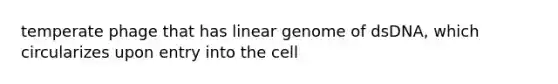 temperate phage that has linear genome of dsDNA, which circularizes upon entry into the cell