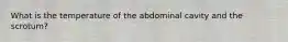 What is the temperature of the abdominal cavity and the scrotum?