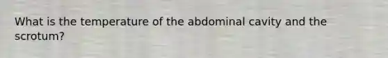 What is the temperature of the abdominal cavity and the scrotum?