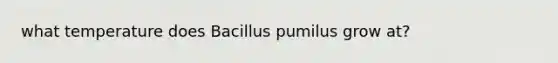 what temperature does Bacillus pumilus grow at?