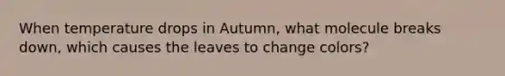 When temperature drops in Autumn, what molecule breaks down, which causes the leaves to change colors?