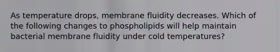 As temperature drops, membrane fluidity decreases. Which of the following changes to phospholipids will help maintain bacterial membrane fluidity under cold temperatures?