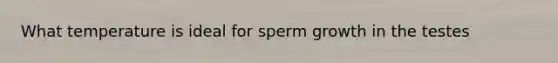 What temperature is ideal for sperm growth in the testes