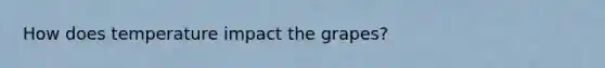 How does temperature impact the grapes?