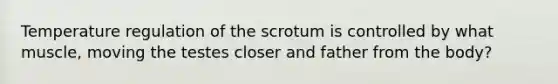 Temperature regulation of the scrotum is controlled by what muscle, moving the testes closer and father from the body?