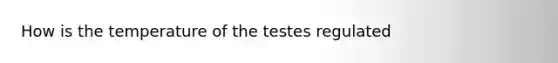 How is the temperature of the testes regulated