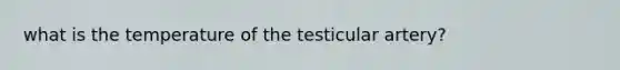 what is the temperature of the testicular artery?