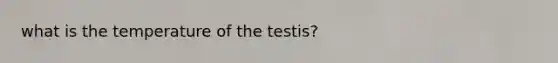 what is the temperature of the testis?