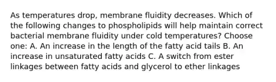 As temperatures drop, membrane fluidity decreases. Which of the following changes to phospholipids will help maintain correct bacterial membrane fluidity under cold temperatures? Choose one: A. An increase in the length of the fatty acid tails B. An increase in unsaturated fatty acids C. A switch from ester linkages between fatty acids and glycerol to ether linkages