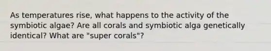 As temperatures rise, what happens to the activity of the symbiotic algae? Are all corals and symbiotic alga genetically identical? What are "super corals"?