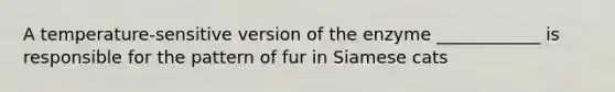 A temperature-sensitive version of the enzyme ____________ is responsible for the pattern of fur in Siamese cats