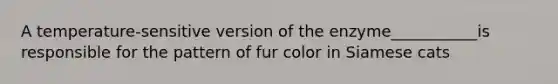 A temperature-sensitive version of the enzyme___________is responsible for the pattern of fur color in Siamese cats