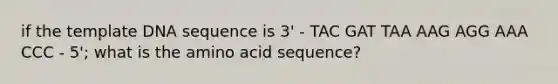 if the template DNA sequence is 3' - TAC GAT TAA AAG AGG AAA CCC - 5'; what is the amino acid sequence?