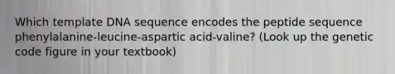 Which template DNA sequence encodes the peptide sequence phenylalanine-leucine-aspartic acid-valine? (Look up the genetic code figure in your textbook)