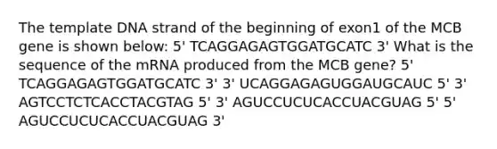 The template DNA strand of the beginning of exon1 of the MCB gene is shown below: 5' TCAGGAGAGTGGATGCATC 3' What is the sequence of the mRNA produced from the MCB gene? 5' TCAGGAGAGTGGATGCATC 3' 3' UCAGGAGAGUGGAUGCAUC 5' 3' AGTCCTCTCACCTACGTAG 5' 3' AGUCCUCUCACCUACGUAG 5' 5' AGUCCUCUCACCUACGUAG 3'