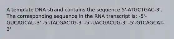 A template DNA strand contains the sequence 5'-ATGCTGAC-3'. The corresponding sequence in the RNA transcript is: -5'-GUCAGCAU-3' -5'-TACGACTG-3' -5'-UACGACUG-3' -5'-GTCAGCAT-3'