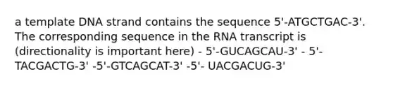 a template DNA strand contains the sequence 5'-ATGCTGAC-3'. The corresponding sequence in the RNA transcript is (directionality is important here) - 5'-GUCAGCAU-3' - 5'-TACGACTG-3' -5'-GTCAGCAT-3' -5'- UACGACUG-3'