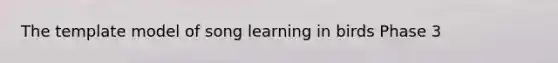 The template model of song learning in birds Phase 3