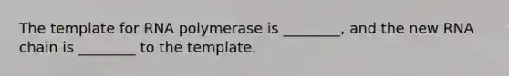 The template for RNA polymerase is ________, and the new RNA chain is ________ to the template.