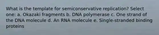 What is the template for semiconservative replication? Select one: a. Okazaki fragments b. DNA polymerase c. One strand of the DNA molecule d. An RNA molecule e. Single-stranded binding proteins