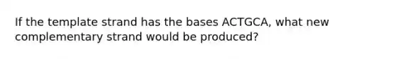 If the template strand has the bases ACTGCA, what new complementary strand would be produced?