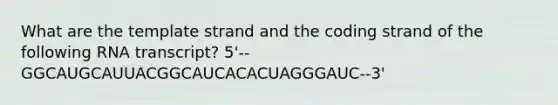 What are the template strand and the coding strand of the following RNA transcript? 5'--GGCAUGCAUUACGGCAUCACACUAGGGAUC--3'