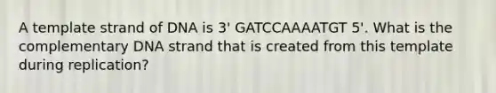 A template strand of DNA is 3' GATCCAAAATGT 5'. What is the complementary DNA strand that is created from this template during replication?