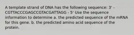 A template strand of DNA has the following sequence: 3' - CGTTACCCGAGCCGTACGATTAGG - 5' Use the sequence information to determine a. the predicted sequence of the mRNA for this gene. b. the predicted amino acid sequence of the protein.