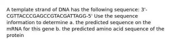 A template strand of DNA has the following sequence: 3'- CGTTACCCGAGCCGTACGATTAGG-5' Use the sequence information to determine a. the predicted sequence on the mRNA for this gene b. the predicted amino acid sequence of the protein