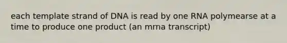 each template strand of DNA is read by one RNA polymearse at a time to produce one product (an mrna transcript)