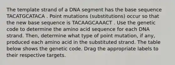 The template strand of a DNA segment has the base sequence TACATGCATACA . Point mutations (substitutions) occur so that the new base sequence is TACAAGCAAACT . Use the genetic code to determine the amino acid sequence for each DNA strand. Then, determine what type of point mutation, if any, produced each amino acid in the substituted strand. The table below shows the genetic code. Drag the appropriate labels to their respective targets.