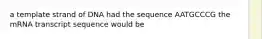 a template strand of DNA had the sequence AATGCCCG the mRNA transcript sequence would be