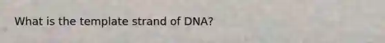 What is the template strand of DNA?