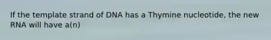 If the template strand of DNA has a Thymine nucleotide, the new RNA will have a(n)