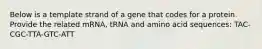 Below is a template strand of a gene that codes for a protein. Provide the related mRNA, tRNA and amino acid sequences: TAC-CGC-TTA-GTC-ATT