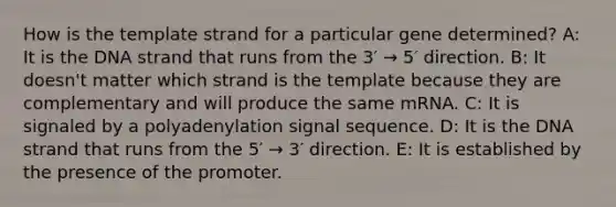 How is the template strand for a particular gene determined? A: It is the DNA strand that runs from the 3′ → 5′ direction. B: It doesn't matter which strand is the template because they are complementary and will produce the same mRNA. C: It is signaled by a polyadenylation signal sequence. D: It is the DNA strand that runs from the 5′ → 3′ direction. E: It is established by the presence of the promoter.