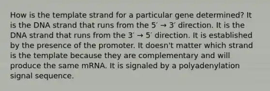 How is the template strand for a particular gene determined? It is the DNA strand that runs from the 5′ → 3′ direction. It is the DNA strand that runs from the 3′ → 5′ direction. It is established by the presence of the promoter. It doesn't matter which strand is the template because they are complementary and will produce the same mRNA. It is signaled by a polyadenylation signal sequence.