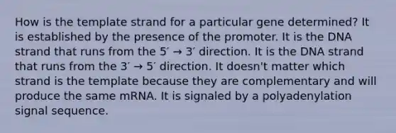 How is the template strand for a particular gene determined? It is established by the presence of the promoter. It is the DNA strand that runs from the 5′ → 3′ direction. It is the DNA strand that runs from the 3′ → 5′ direction. It doesn't matter which strand is the template because they are complementary and will produce the same mRNA. It is signaled by a polyadenylation signal sequence.