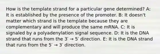 How is the template strand for a particular gene determined? A: It is established by the presence of the promoter. B: It doesn't matter which strand is the template because they are complementary and will produce the same mRNA. C: It is signaled by a polyadenylation signal sequence. D: It is the DNA strand that runs from the 3′ → 5′ direction. E: It is the DNA strand that runs from the 5′ → 3′ direction.