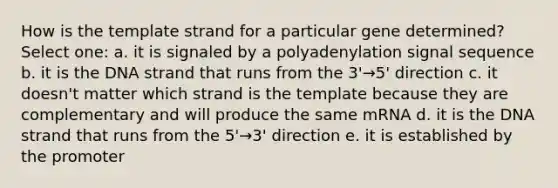 How is the template strand for a particular gene determined? Select one: a. it is signaled by a polyadenylation signal sequence b. it is the DNA strand that runs from the 3'→5' direction c. it doesn't matter which strand is the template because they are complementary and will produce the same mRNA d. it is the DNA strand that runs from the 5'→3' direction e. it is established by the promoter